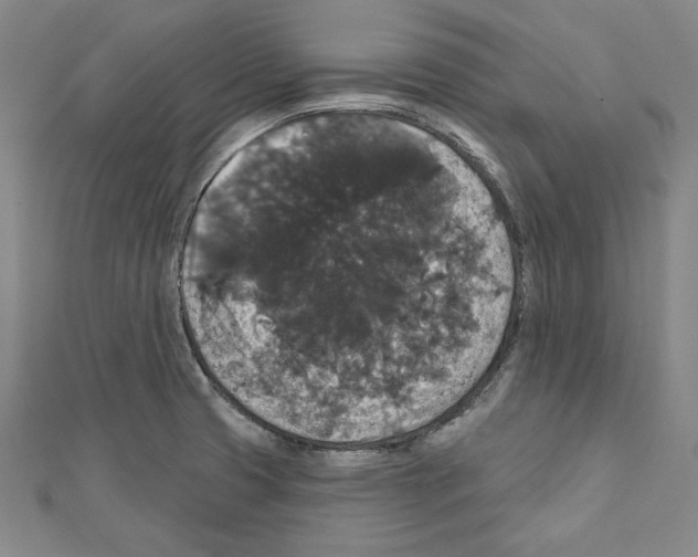 X0000111591425200908270959
