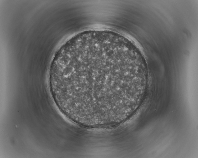 X0000111591429200908270959