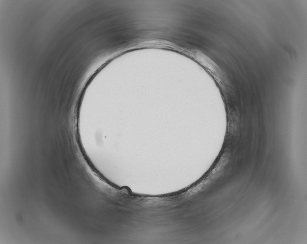 X0000111591430200908270959
