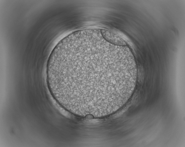 X0000111591431200908270959