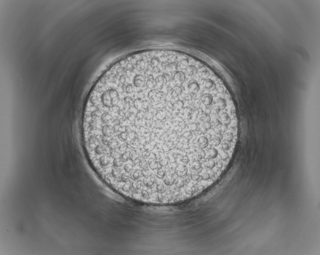 X0000111591432200908270959