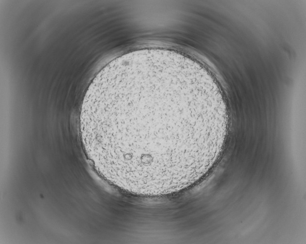 X0000111591433200908270959