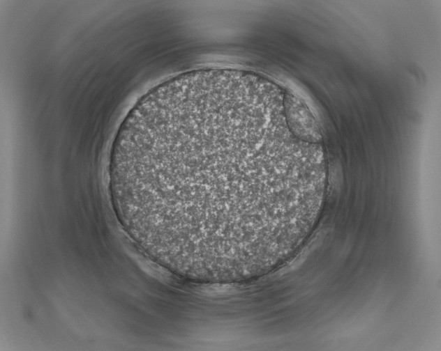 X0000111591435200908270959