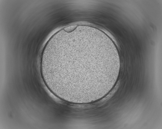 X0000111591438200908270959