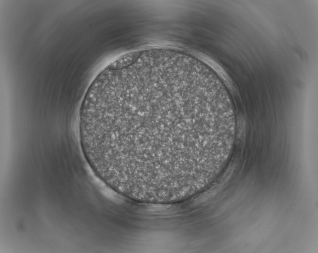 X0000111591439200908270959