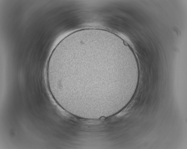 X0000111591440200908270959