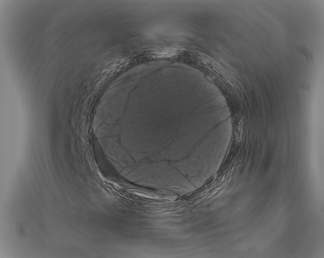 X0000111591441200908270958