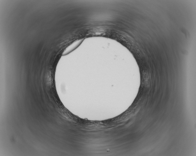 X0000111591442200908270958