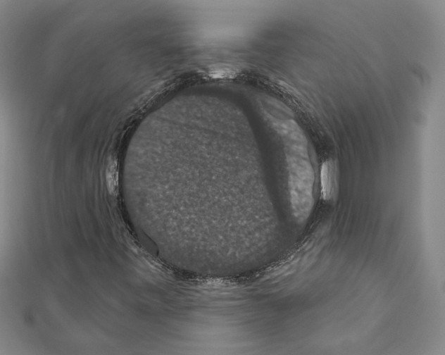 X0000111591443200908270958