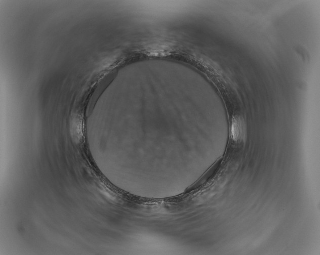 X0000111591444200908270958
