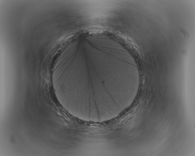 X0000111591445200908270958
