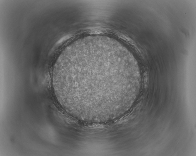 X0000111591446200908270958