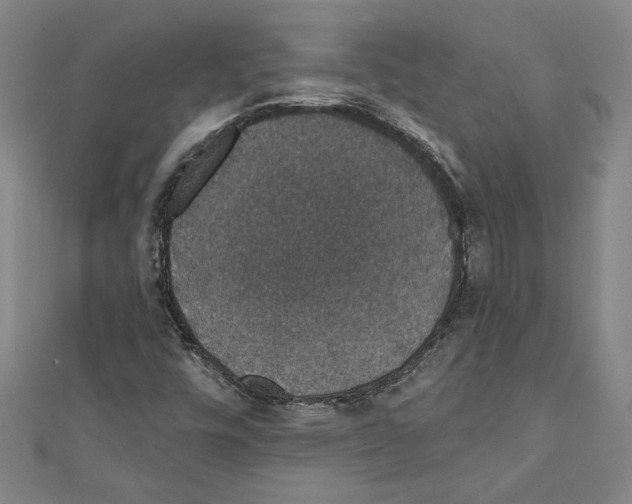 X0000111591448200908270958
