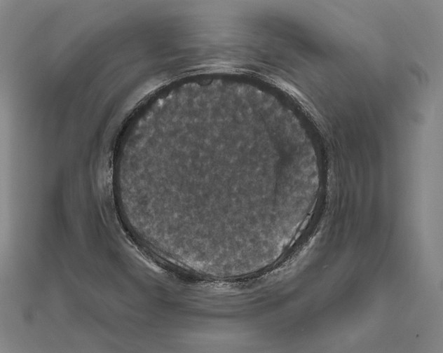X0000111591450200908270958