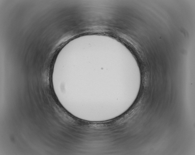X0000111591451200908270958