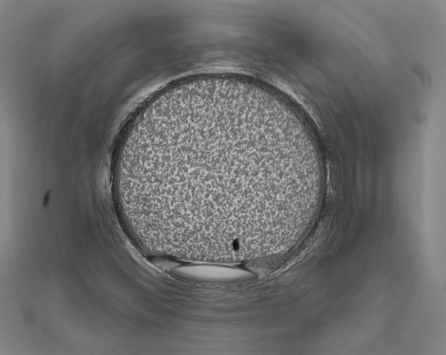 X0000111591452200908270958
