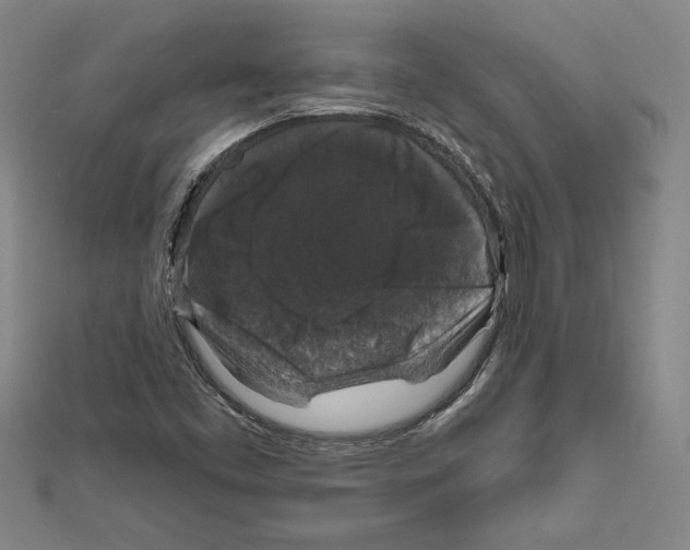 X0000111591453200908270958