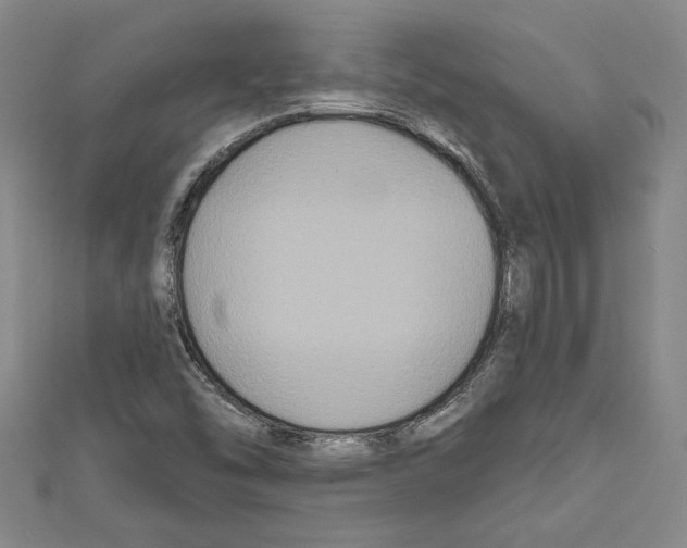 X0000111591454200908270958