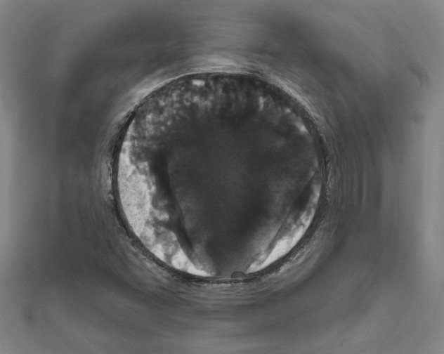 X0000111591455200908270958