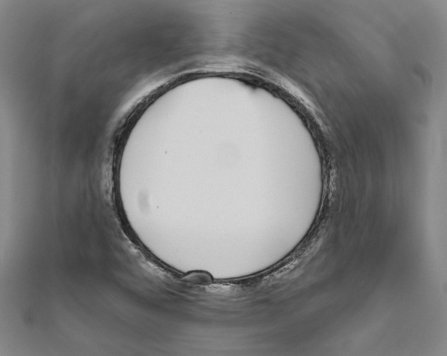 X0000111591456200908270958