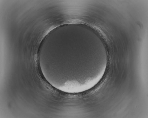 X0000111591457200908270958