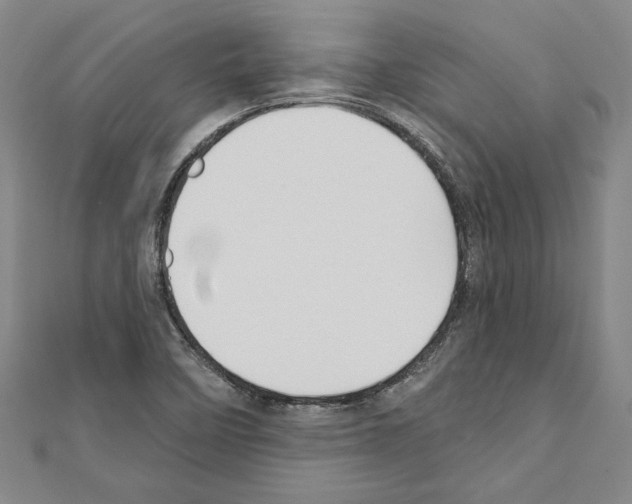 X0000111591458200908270958
