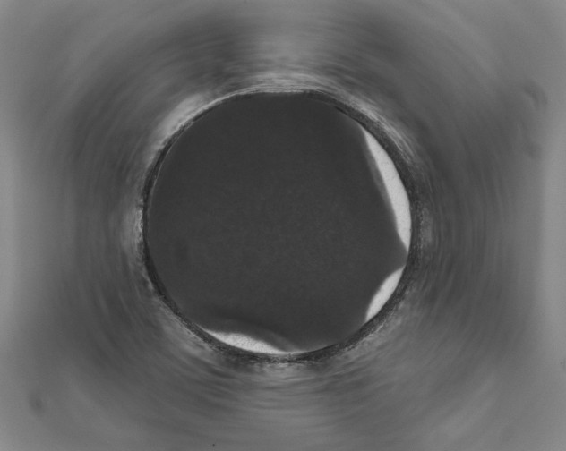 X0000111591459200908270958