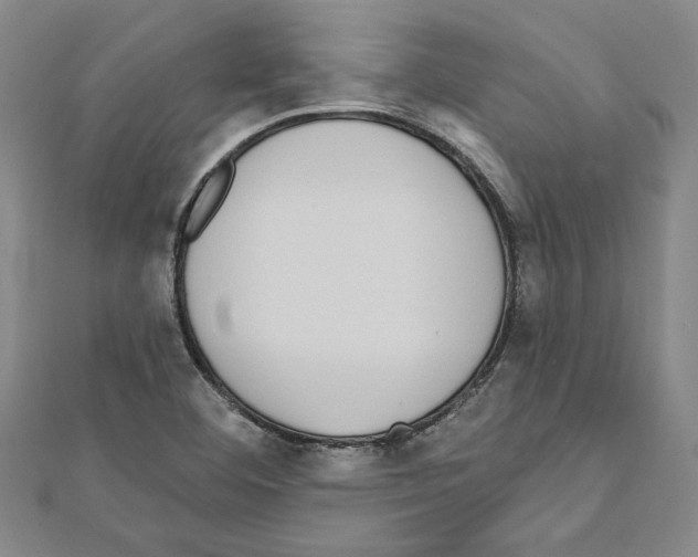 X0000111591460200908270958