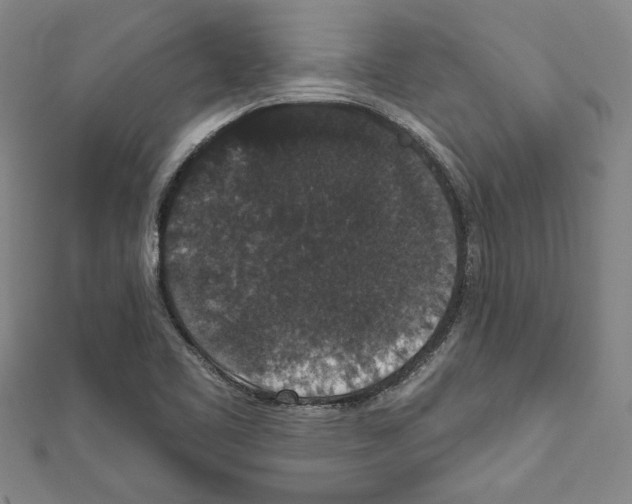 X0000111591461200908270958