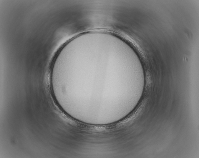 X0000111591462200908270958