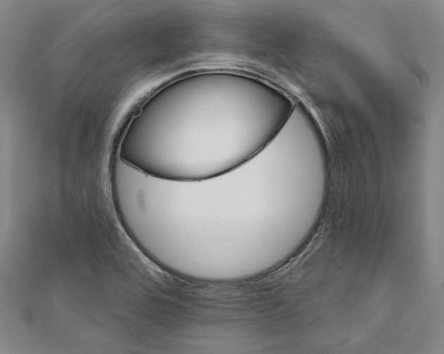 X0000111591464200908270958