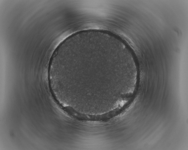 X0000111591465200908270958