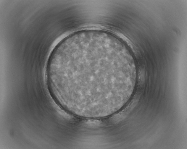 X0000111591466200908270958