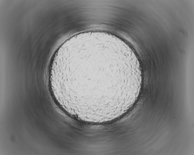 X0000111591467200908270958