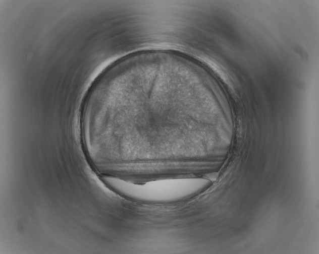 X0000111591468200908270958
