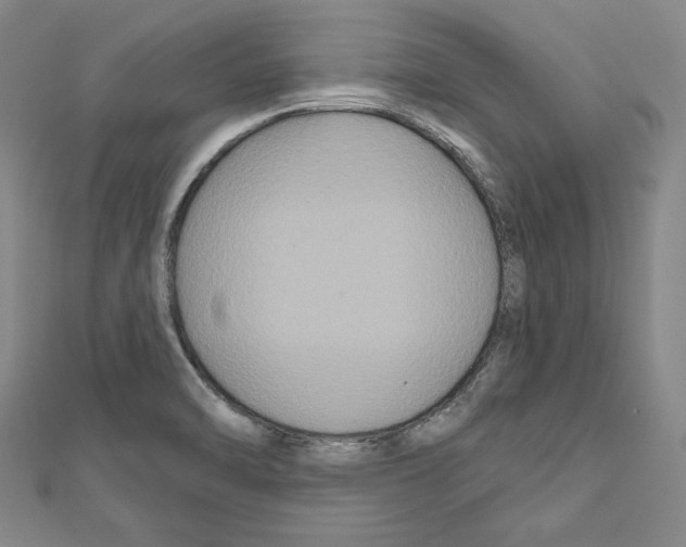 X0000111591470200908270958
