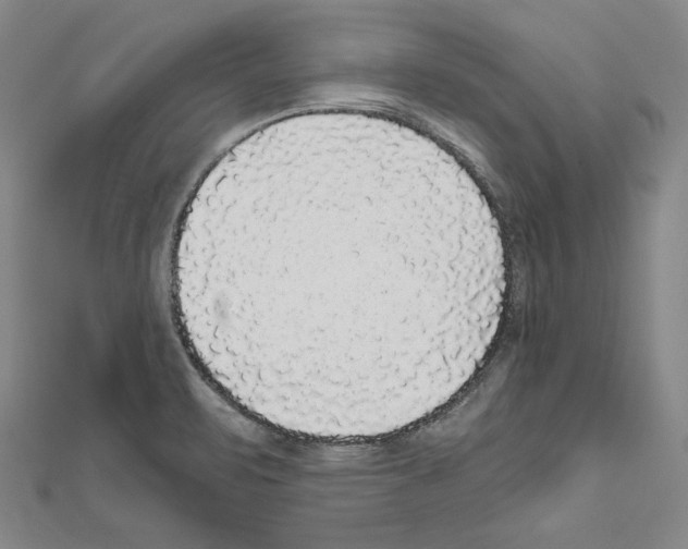 X0000111591471200908270958