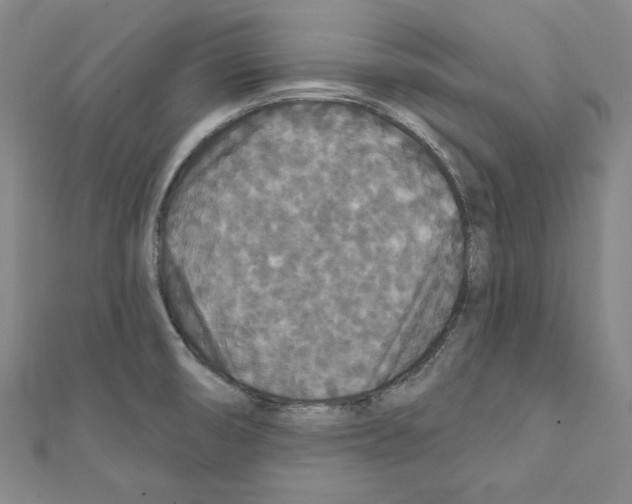 X0000111591474200908270958