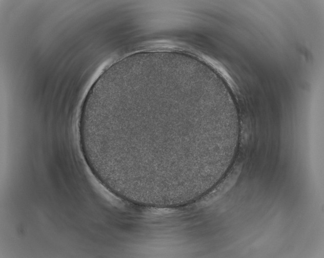 X0000111591475200908270958