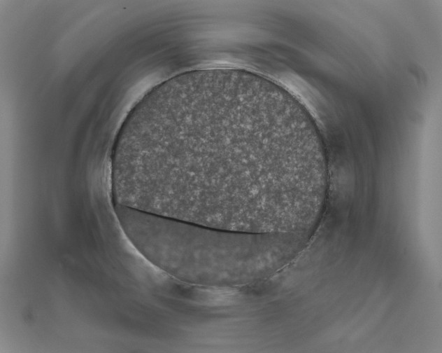 X0000111591476200908270958
