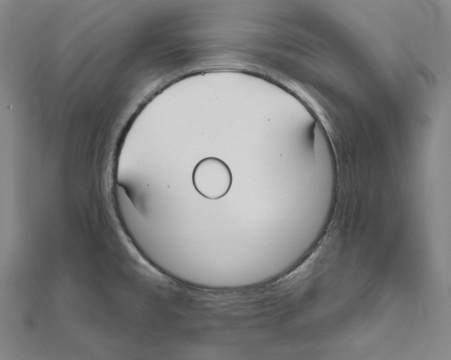 X0000111591477200908270958