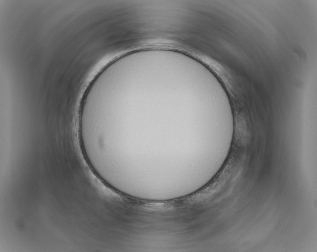 X0000111591478200908270958