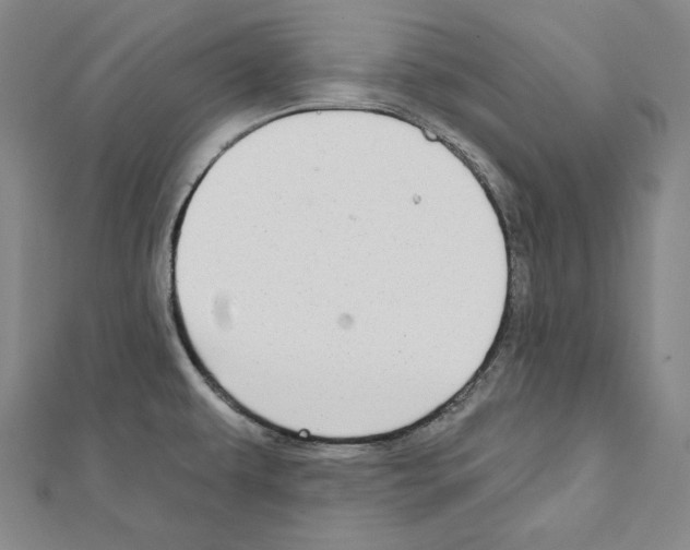 X0000111591479200908270958