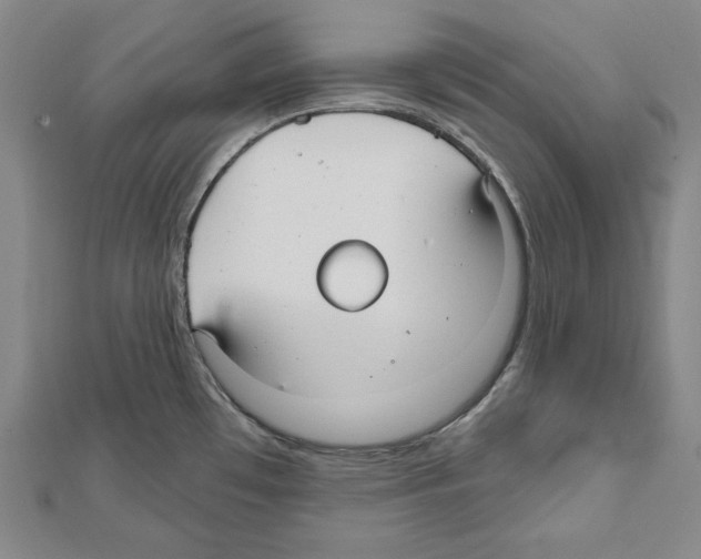X0000111591481200908270958