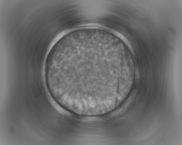 X0000111591482200908270958