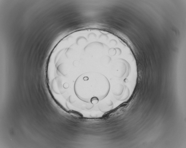 X0000111591483200908270958