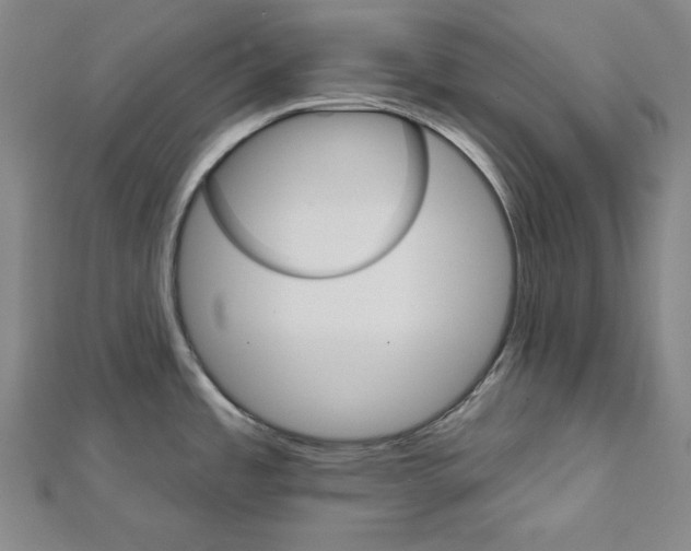 X0000111591485200908270958