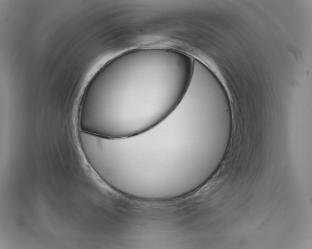 X0000111591488200908270958