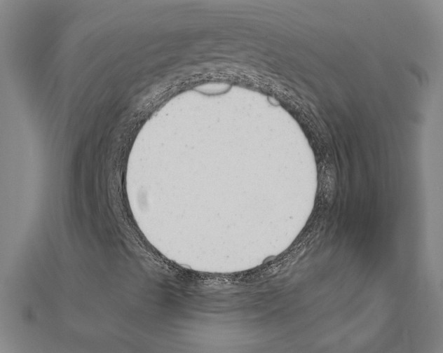 X0000111591489200908270957