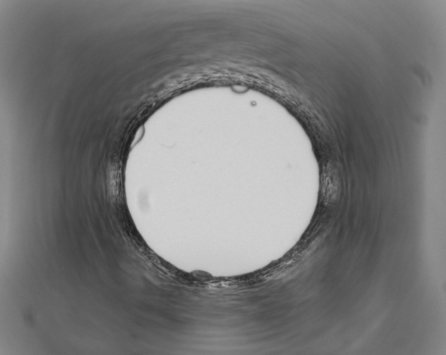 X0000111591490200908270957